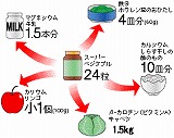 ２４粒でこれだけの栄養が摂れます